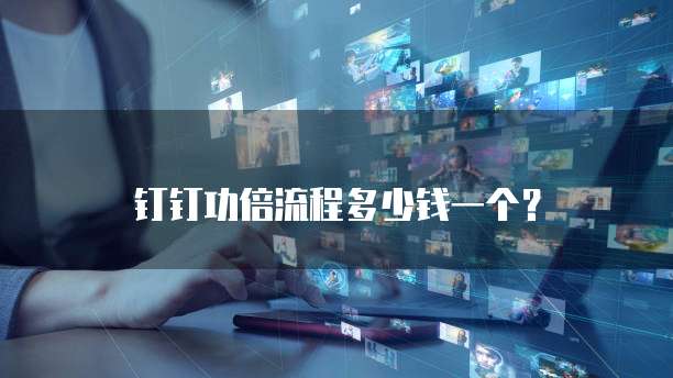 钉钉功倍流程多少钱一个?