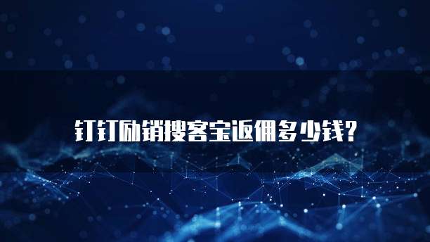 钉钉励销搜客宝返佣多少钱？
