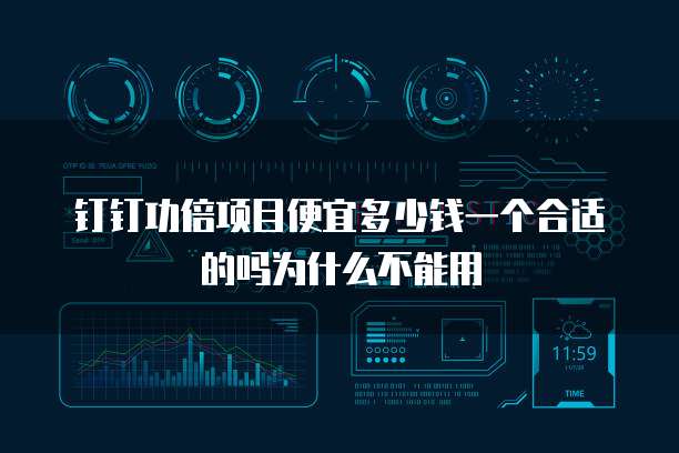 钉钉功倍项目便宜多少钱一个合适的吗为什么不能用