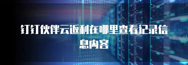钉钉伙伴云返利在哪里查看记录信息内容