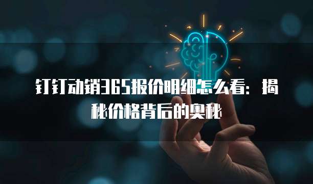 钉钉动销365报价明细怎么看:揭秘价格背后的奥秘