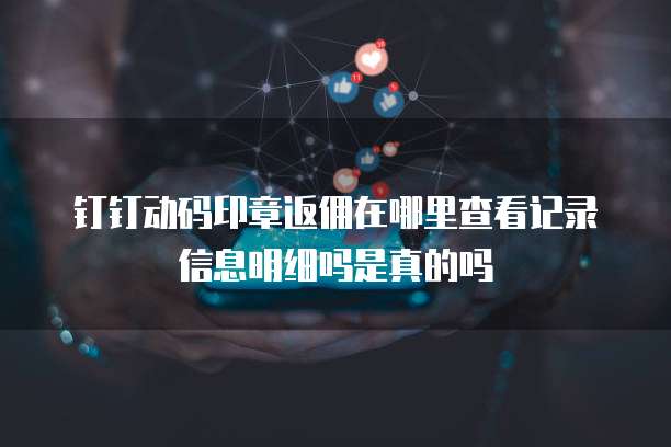 钉钉动码印章返佣在哪里查看记录信息明细吗是真的吗