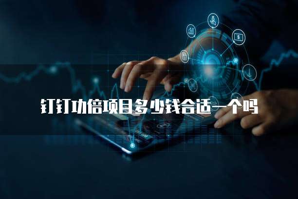 钉钉功倍项目多少钱合适一个吗