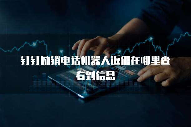 钉钉励销电话机器人返佣在哪里查看到信息