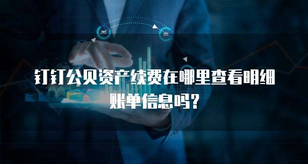钉钉公贝资产续费在哪里查看明细账单信息吗?