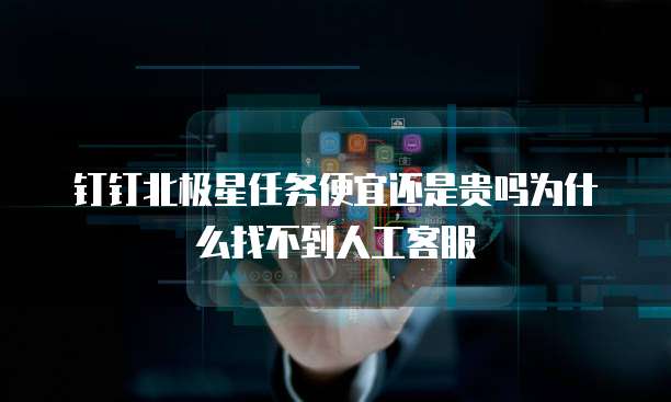钉钉北极星任务便宜还是贵吗为什么找不到人工客服