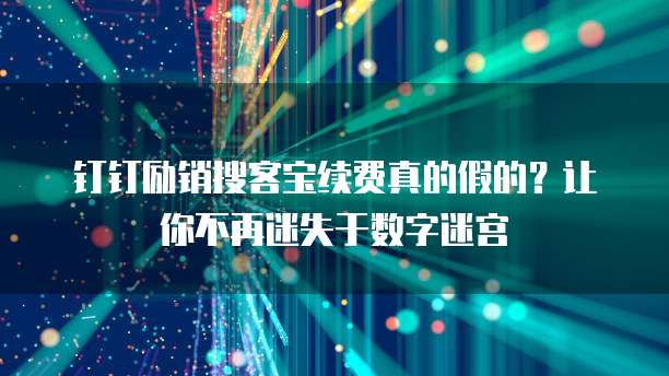 钉钉励销搜客宝续费真的假的?让你不再迷失于数字迷宫