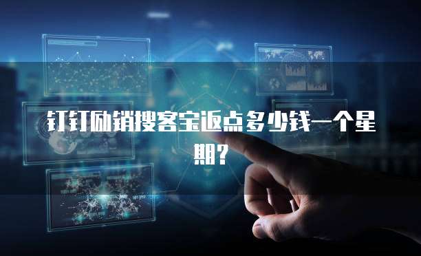 钉钉励销搜客宝返点多少钱一个星期?