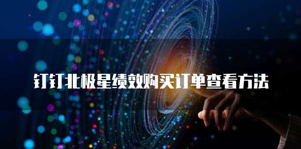 钉钉北极星绩效购买订单查看方法
