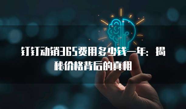 钉钉动销365费用多少钱一年：揭秘价格背后的真相