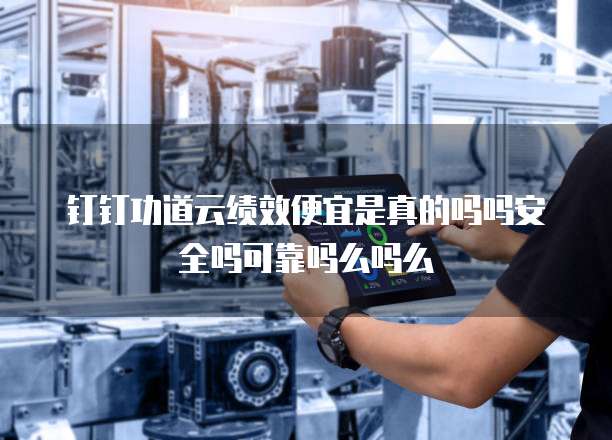 钉钉功道云绩效便宜是真的吗吗安全吗可靠吗么吗么