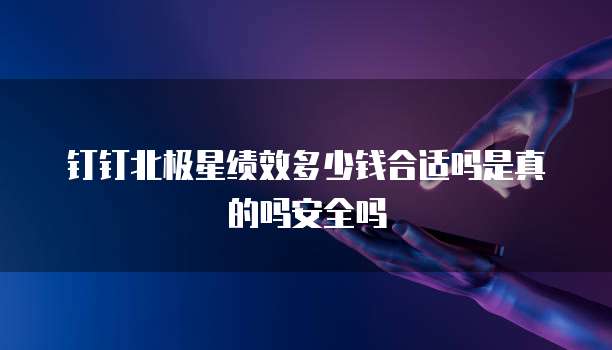 钉钉北极星绩效多少钱合适吗是真的吗安全吗