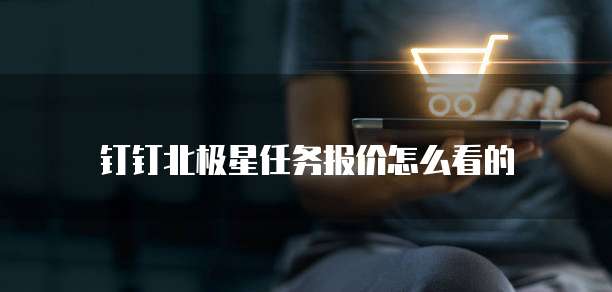 钉钉北极星任务报价怎么看的