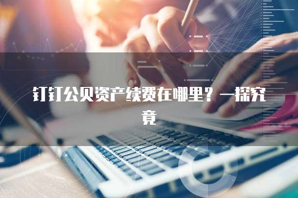 钉钉公贝资产续费在哪里?一探究竟