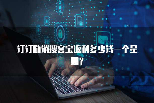 钉钉励销搜客宝返利多少钱一个星期?