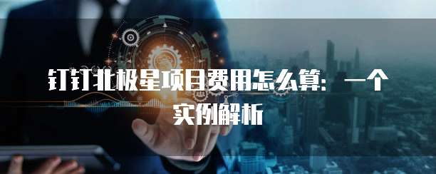 钉钉北极星项目费用怎么算:一个实例解析