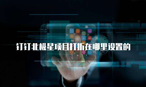 钉钉北极星项目打折在哪里设置的