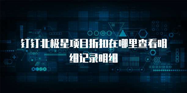 钉钉北极星项目折扣在哪里查看明细记录明细