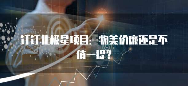 钉钉北极星项目:物美价廉还是不值一提?