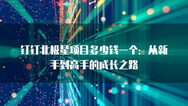 钉钉北极星项目多少钱一个:从新手到高手的成长之路