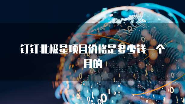钉钉北极星项目价格是多少钱一个月的