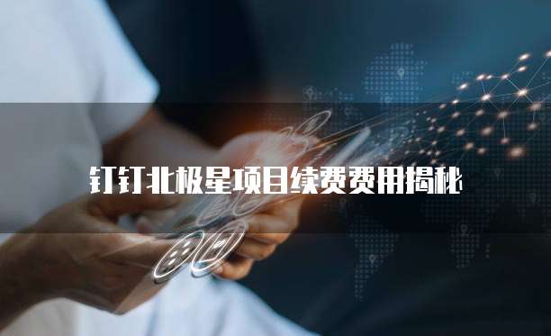 钉钉北极星项目续费费用揭秘