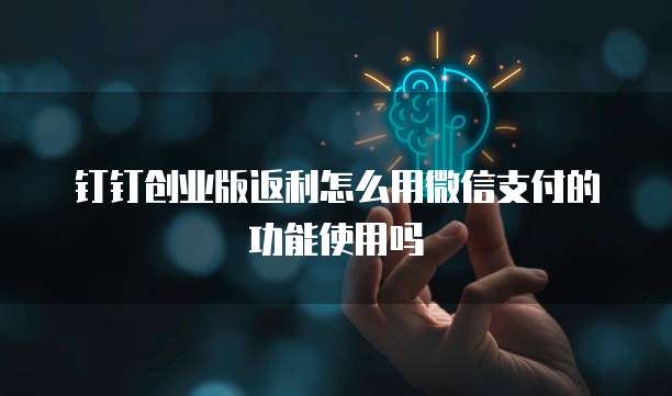 钉钉创业版返利怎么用微信支付的功能使用吗