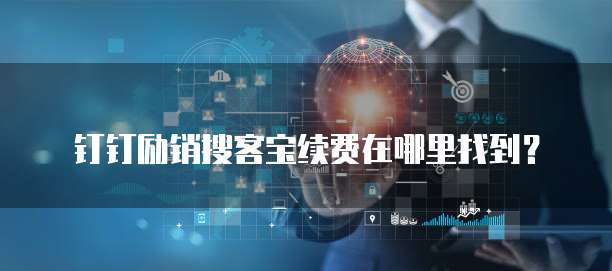 钉钉励销搜客宝续费在哪里找到?