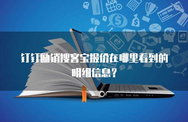 钉钉励销搜客宝报价在哪里看到的明细信息？