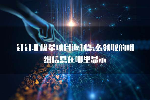 钉钉北极星项目返利怎么领取的明细信息在哪里显示