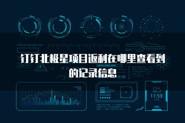 钉钉北极星项目返利在哪里查看到的记录信息
