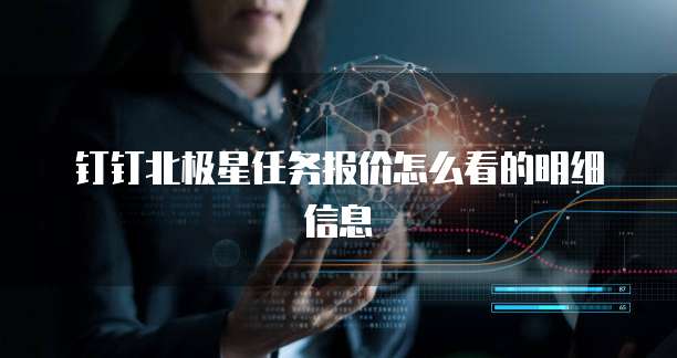 钉钉北极星任务报价怎么看的明细信息