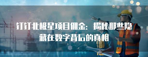 钉钉北极星项目佣金：揭秘那些隐藏在数字背后的真相