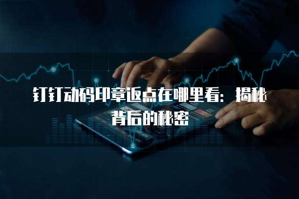 钉钉动码印章返点在哪里看：揭秘背后的秘密