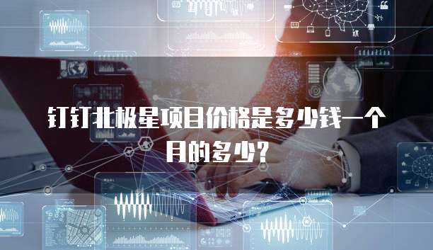 钉钉北极星项目价格是多少钱一个月的多少?