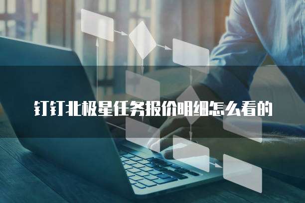 钉钉北极星任务报价明细怎么看的