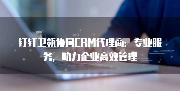 钉钉卫瓴协同CRM代理商:专业服务,助力企业高效管理