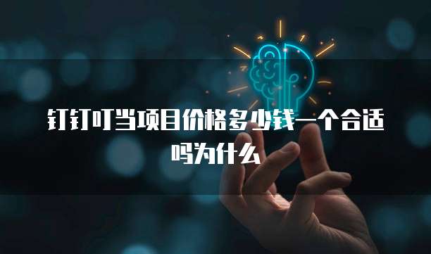 钉钉叮当项目价格多少钱一个合适吗为什么