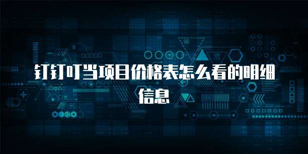 钉钉叮当项目价格表怎么看的明细信息