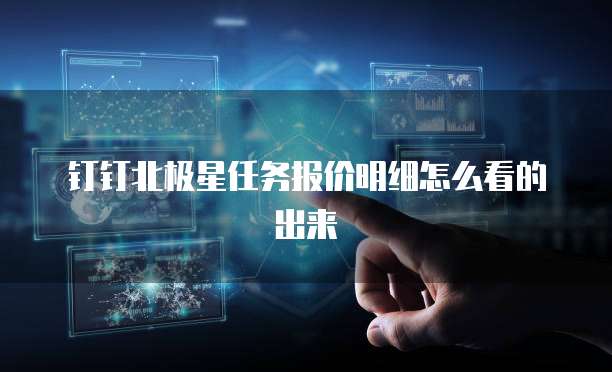 钉钉北极星任务报价明细怎么看的出来