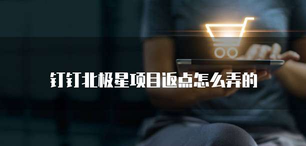 钉钉北极星项目返点怎么弄的