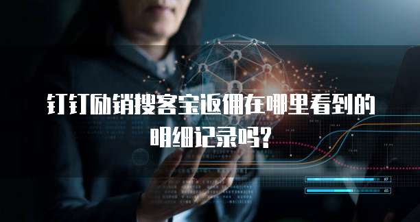 钉钉励销搜客宝返佣在哪里看到的明细记录吗?