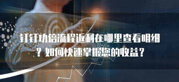 钉钉功倍流程返利在哪里查看明细？如何快速掌握您的收益？