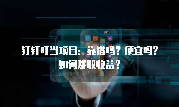 钉钉叮当项目：靠谱吗？便宜吗？如何赚取收益？