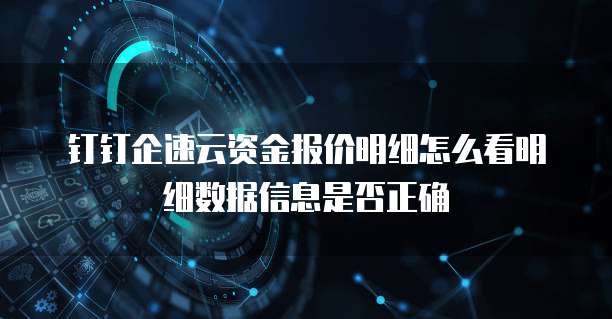 钉钉企速云资金报价明细怎么看明细数据信息是否正确