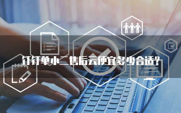 钉钉单小二售后云便宜多少合适？