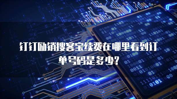 钉钉励销搜客宝续费在哪里看到订单号码是多少?