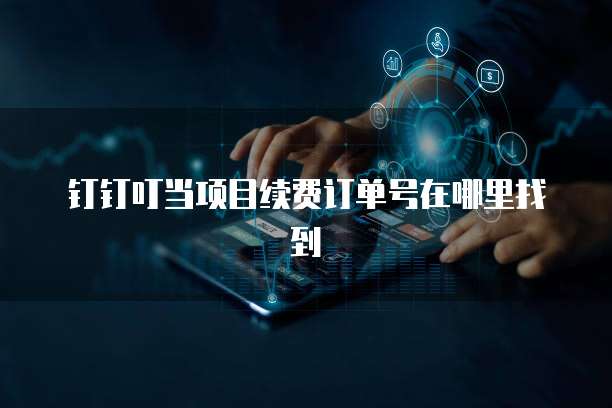 钉钉叮当项目续费订单号在哪里找到