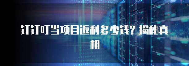钉钉叮当项目返利多少钱?揭秘真相
