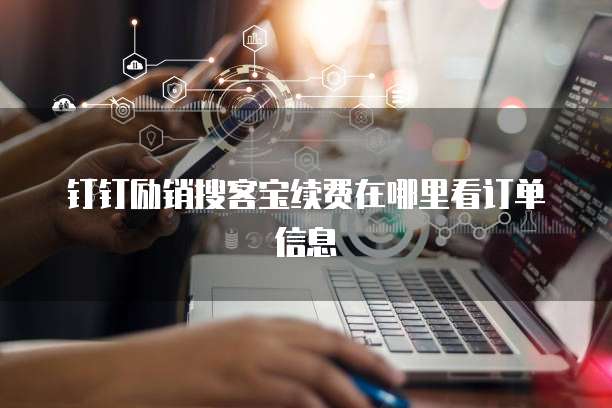 钉钉励销搜客宝续费在哪里看订单信息